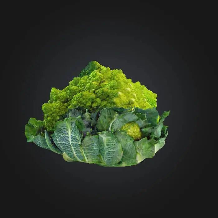 3D model for Romanesco Dreams