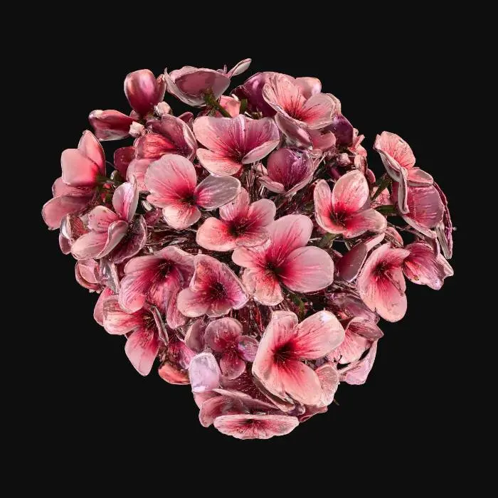 3D model for A single cluster cherry blossoms, detailed Japanese Sakura, rough dark brown bark texture, delicate soft pink petals, blooming flowers with small green buds, organic curvature, photorealistic, 4k textures, ambient occlusion, high fidelity game asset