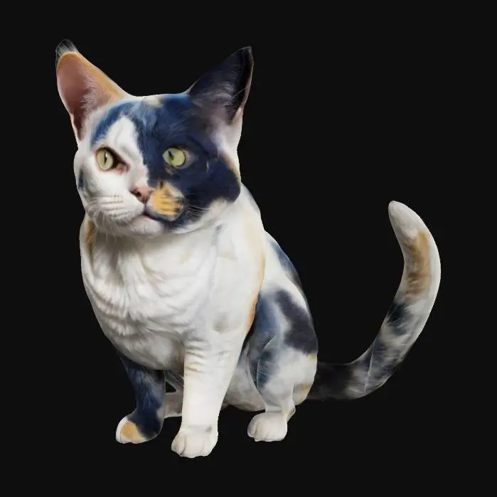 3D model for a variegated cat