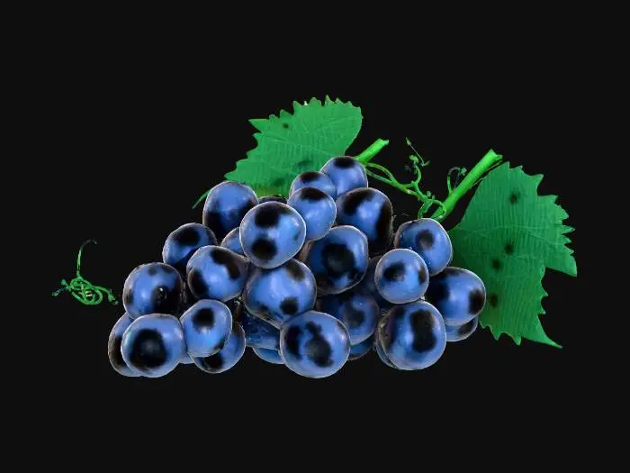 3D model for Glistening Grapes