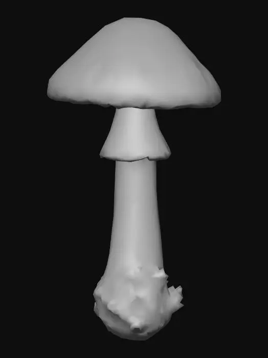 3D model for A hyper-realistic close-up photo of a mushroom with the same shape and texture as the reference: a thick curved stem, warm beige-to-brown tones, detailed wood-like patterns on the cap, natural surface imperfections, soft subsurface scattering, macro photography lighting, dramatic shadows, crisp PBR surface detail, 8k realism, dark studio background.
--style raw --ar 1:1 --v 6