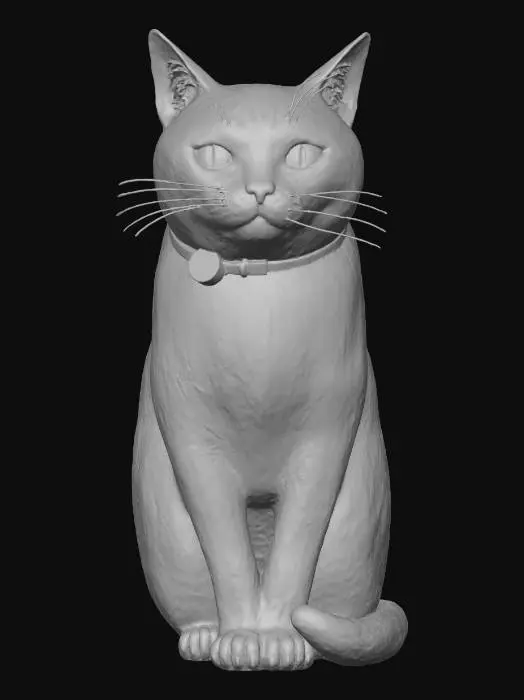 3D model for Whiskers in Style