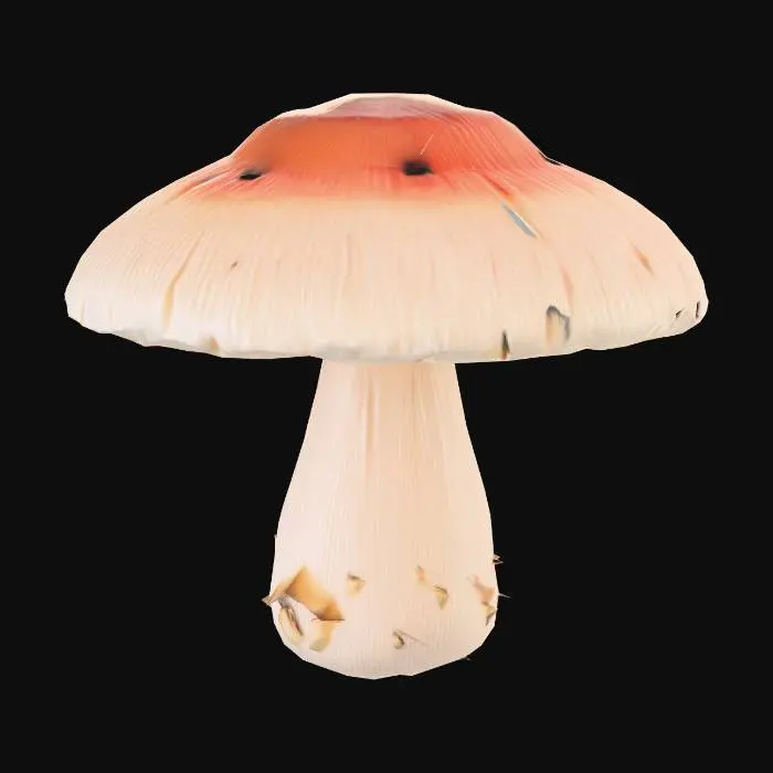 3D model for A hyper-realistic close-up photo of a mushroom with the same shape and texture as the reference: a thick curved stem, warm beige-to-brown tones, detailed wood-like patterns on the cap, natural surface imperfections, soft subsurface scattering, macro photography lighting, dramatic shadows, crisp PBR surface detail, 8k realism, dark studio background.
--style raw --ar 1:1 --v 6