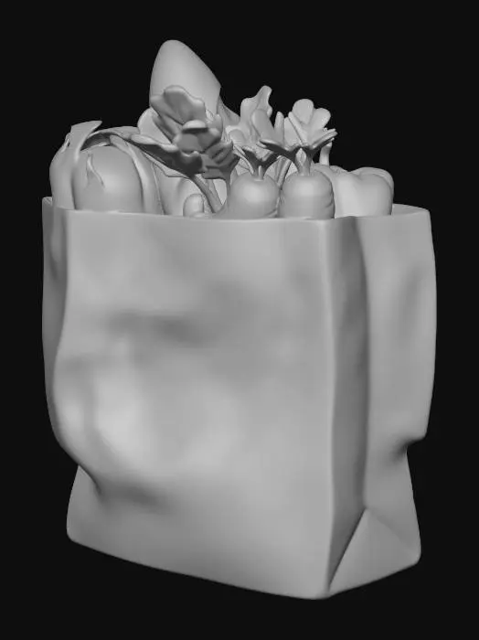 3D model for bolsa mandado
