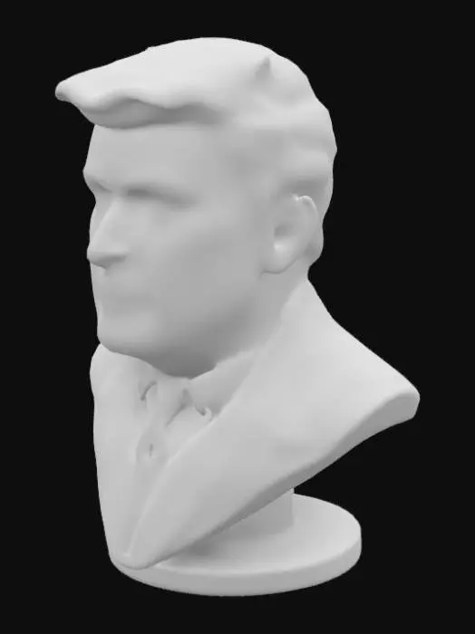 3D model for Donald Trump president
