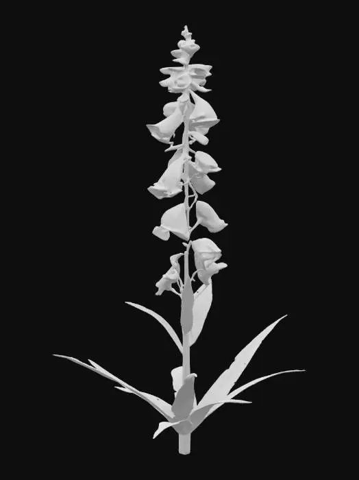 3D model for A Chimney Bellflower, characterized by its tall, sturdy green stem and numerous large, pendulous, bell-shaped flowers. The petals are a delicate shade of blue-violet, slightly translucent with a smooth, waxy finish. Its lance-shaped, serrated green leaves grow alternately along the stem, presenting a matte texture. The overall structure is upright and slender, with the bells subtly flaring outwards at their tips.