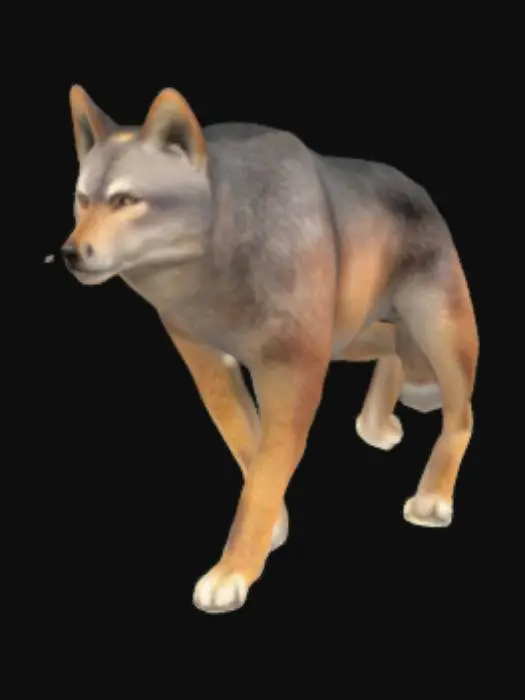 3D model for Wolf in the Wild