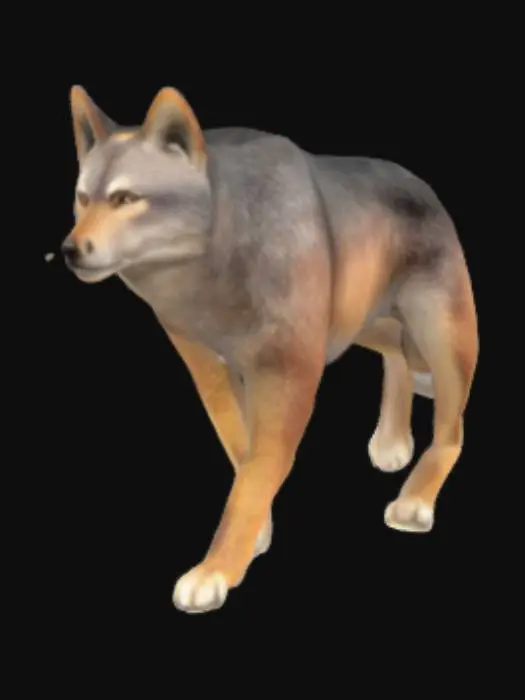 3D model for Wolf in the Wild