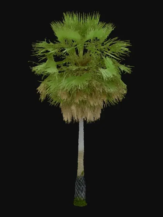 3D model for cARNAÚBA