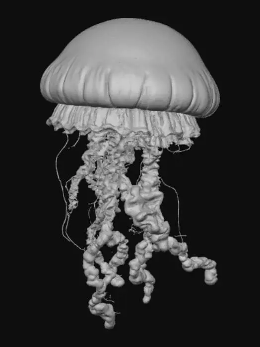 3D model for "A mesmerizing bioluminescent jellyfish floating gracefully in the deep ocean, its bell pulsating gently while long, translucent tentacles sway in slow, elegant waves. The jellyfish emits a soft, ethereal glow in shades of neon blue and green, illuminating the surrounding water with sparkling particles and light reflections. Motion is captured realistically, showing fluid underwater currents, gentle drifting, and rhythmic pulsations of the jellyfish. Ultra-detailed, realistic textures, cinematic lighting, magical deep-sea atmosphere, high-resolution, suitable for VR animation or 3D modeling."