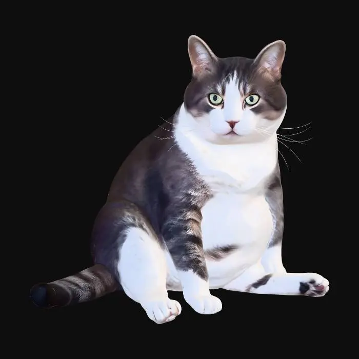 3D model for Fat Cat