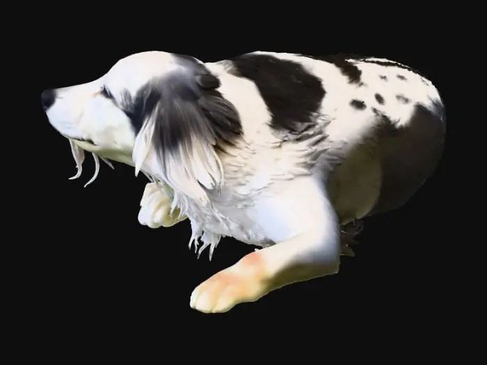 3D model for Serene Canine Bliss