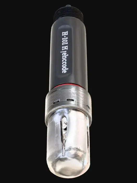 3D model for pH Probe