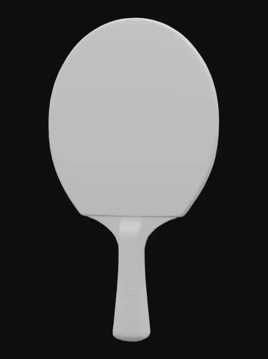 3D model for table tennis pad