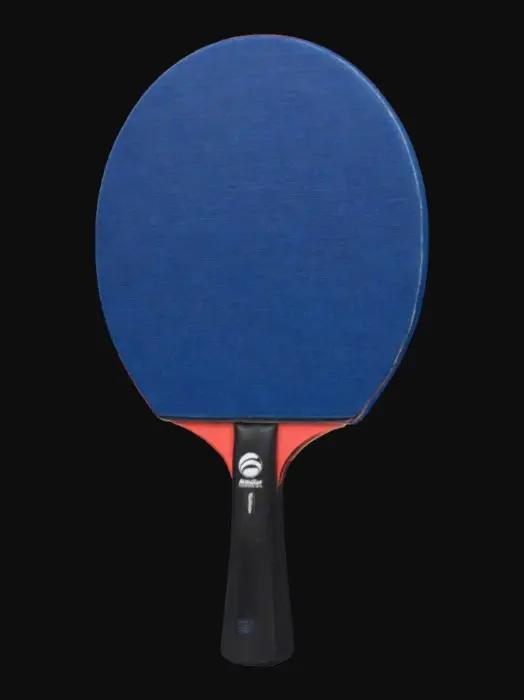 3D model for table tennis pad