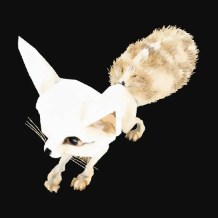 3D model for Fennec Facets