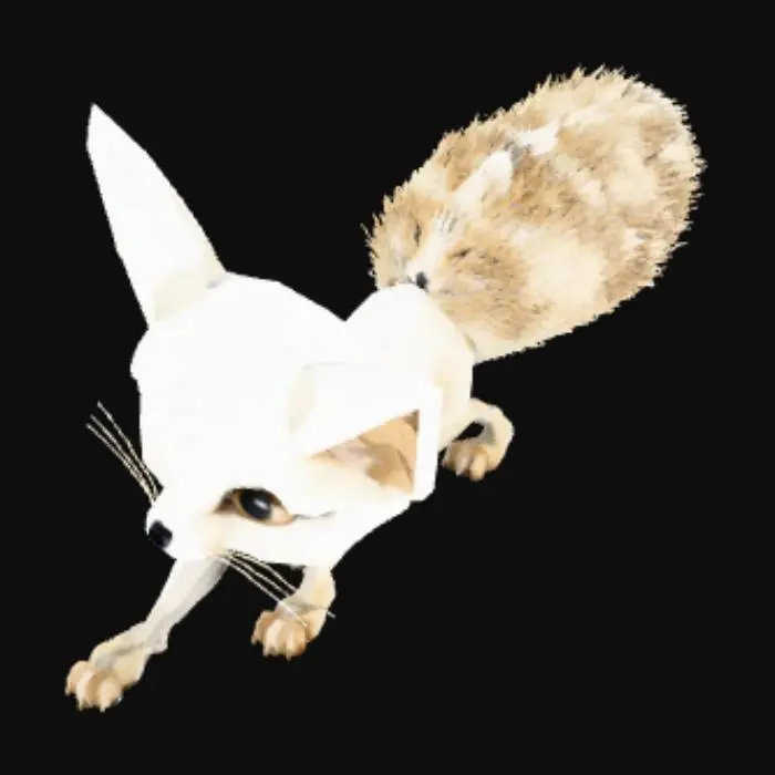 3D model for Fennec Facets