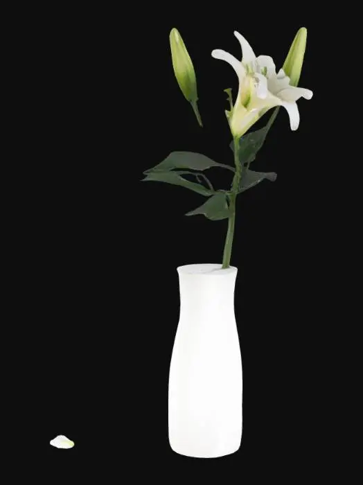 3D model for Lily in Vase
