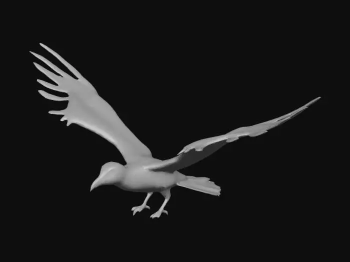 3D model for bird with open wings, realistic