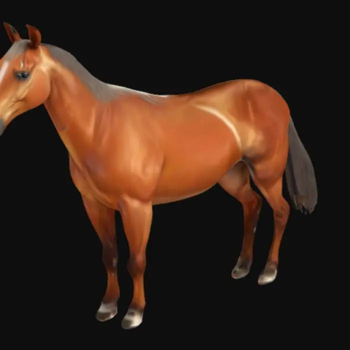 3D model for Horse realistic