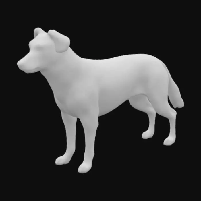 3D model for collie, realista