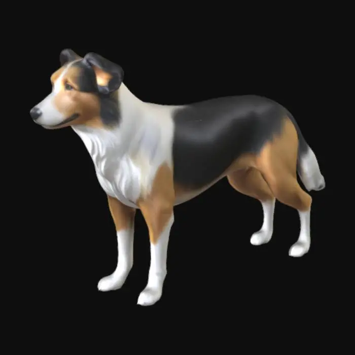 3D model for collie, realista
