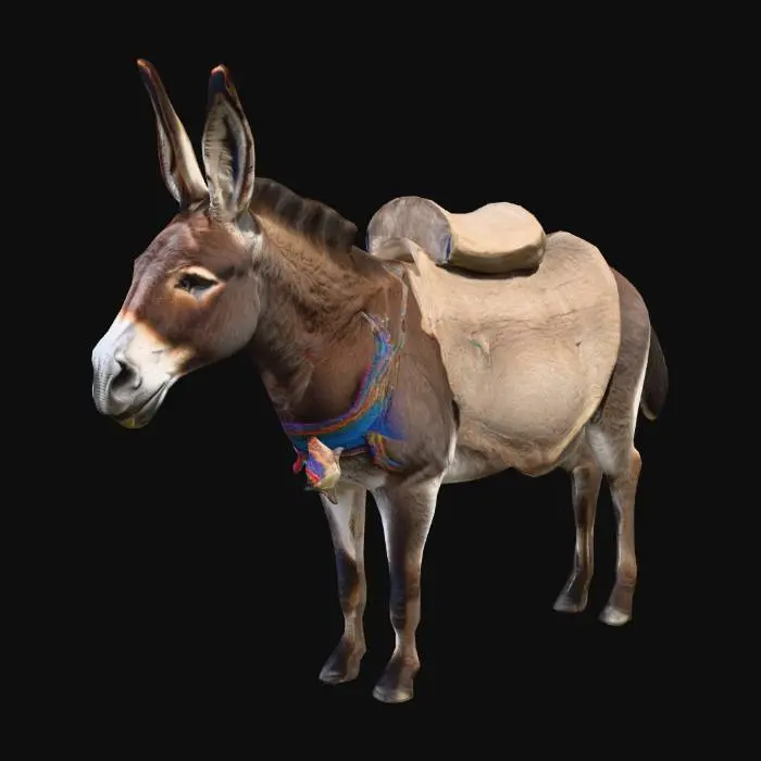 3D model for donkey