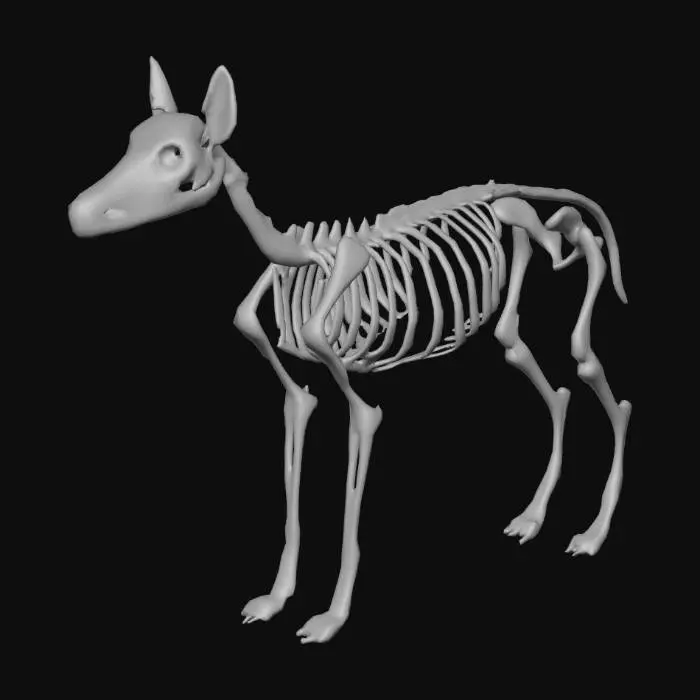 3D model for skeleton dog, pixel
