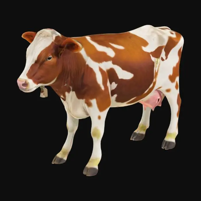 3D model for Cow