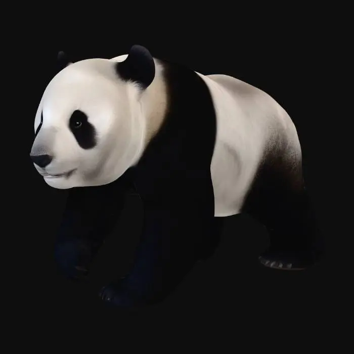 3D model for Panda Portrait