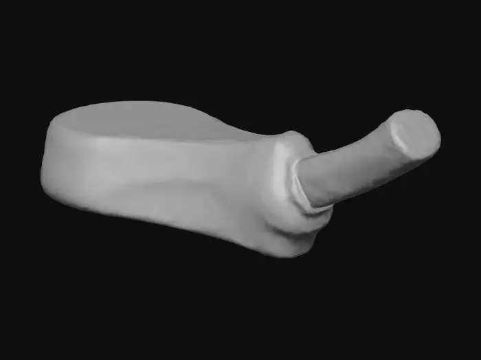 3D model for Tomahawk Steak Elegance