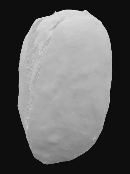 3D model for Pistachio Delight