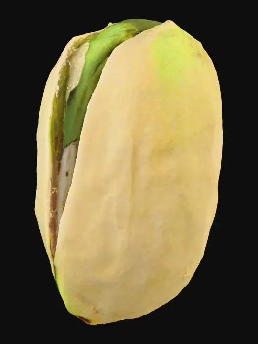 3D model for Pistachio Delight