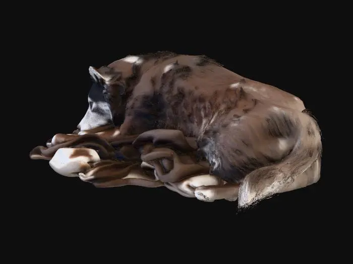 3D model for Cozy Slumber