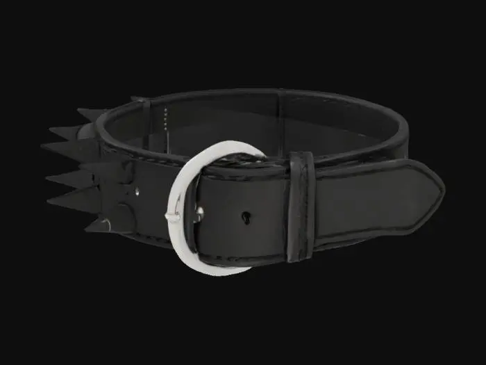 3D model for A black leather choker collar, with a buckle in the back, a ring in the front, five long spikes on the left side, and no spikes on the right side