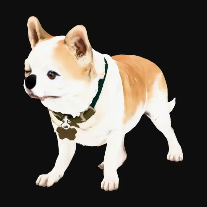 3D model for Rocky the chihuahua