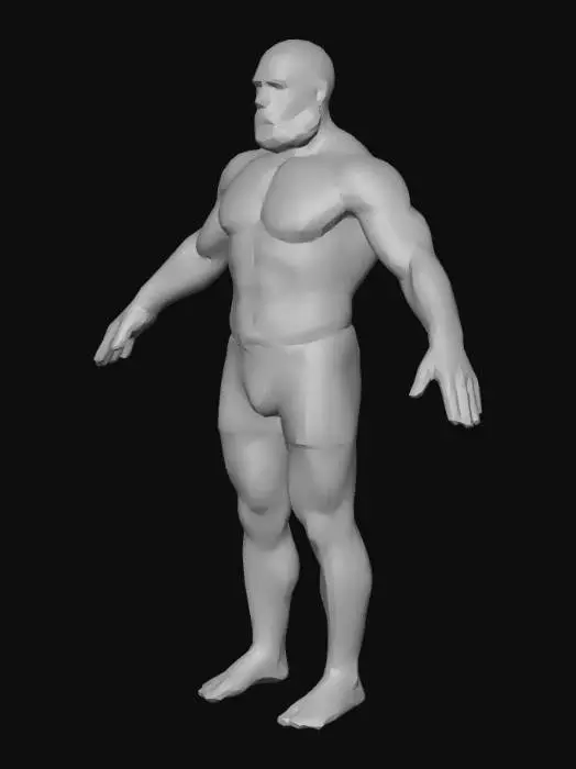 3D model for Bearded Survivor 2