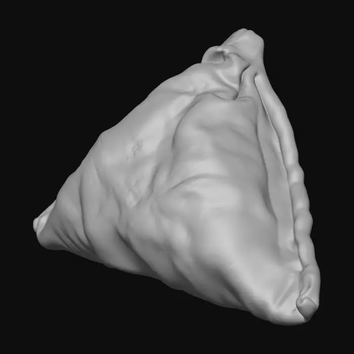 3D model for A highly detailed 3D samosa Indian street food prop, triangular crispy pastry with golden-brown deep-fried texture, subtle oil sheen, realistic flaky layers, slightly rough handmade edges, filled with spiced potato and peas (not visible), authentic Indian snack appearance. Placed as a standalone food prop, centered, neutral pose. Realistic PBR materials, high-resolution textures, clean topology, game-ready asset, no plate, no background, no text. Photorealistic lighting, soft shadows.