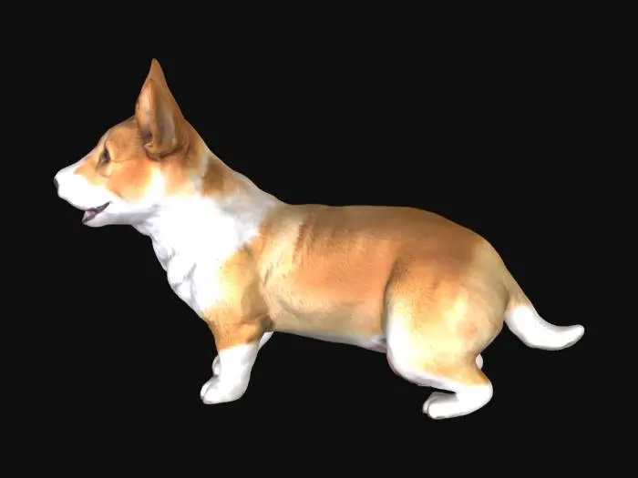 3D model for Corgi Comfort