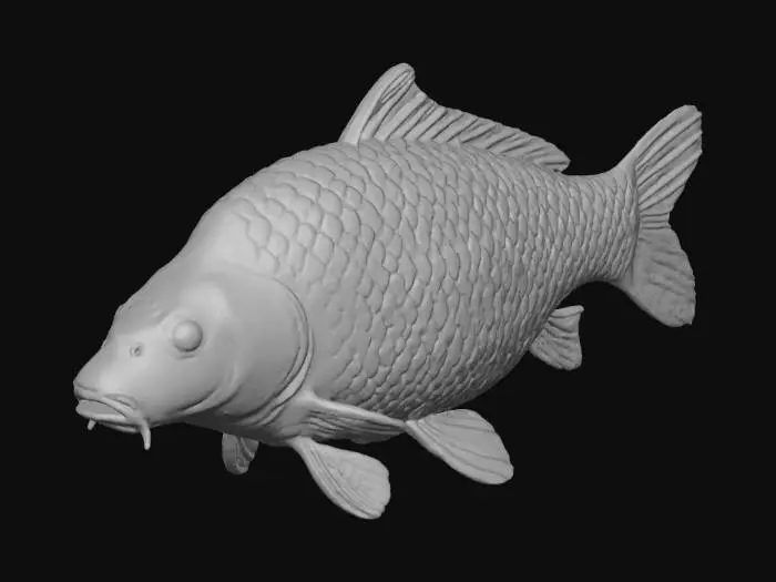 3D model for Golden Carp Model