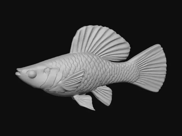 3D model for Spotted Beauty