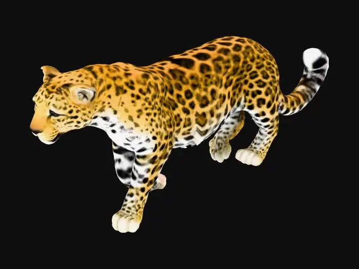 3D model for Leopard Elegance
