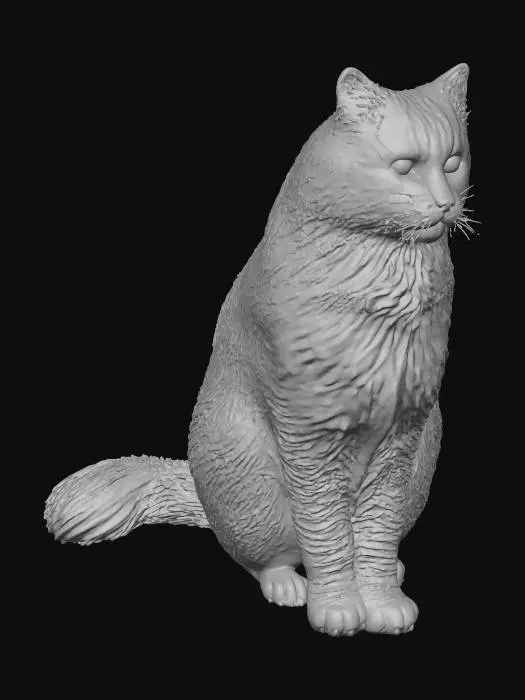 3D model for Fluffy Majesty