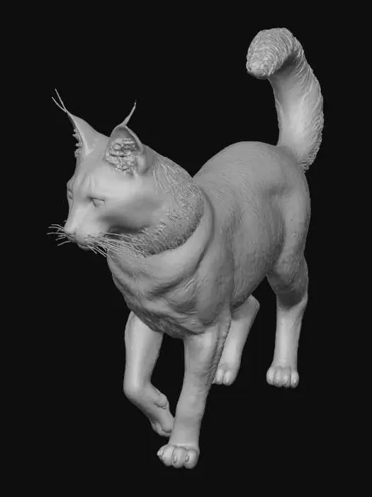 3D model for eime wilkatze, wie im realen leben.