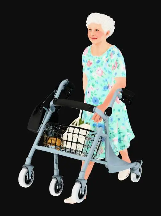 3D model for Joyful Balance