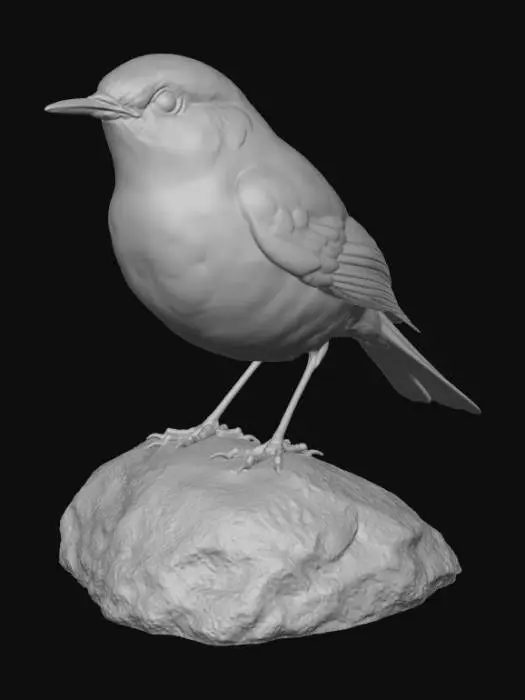 3D model for Robin on a Rock