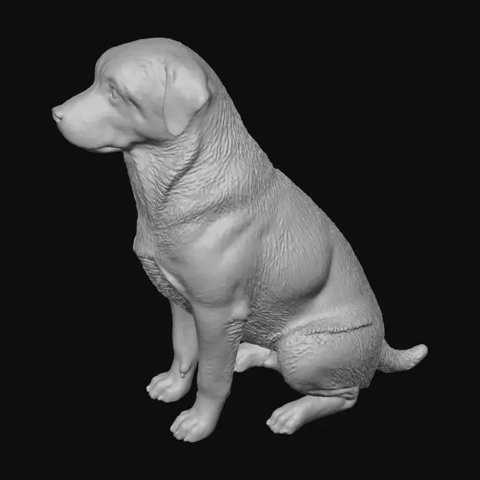 3D model for Regal Rottweiler