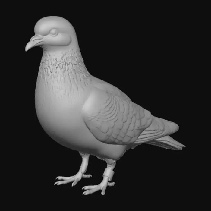 3D model for Iridescent Pigeon