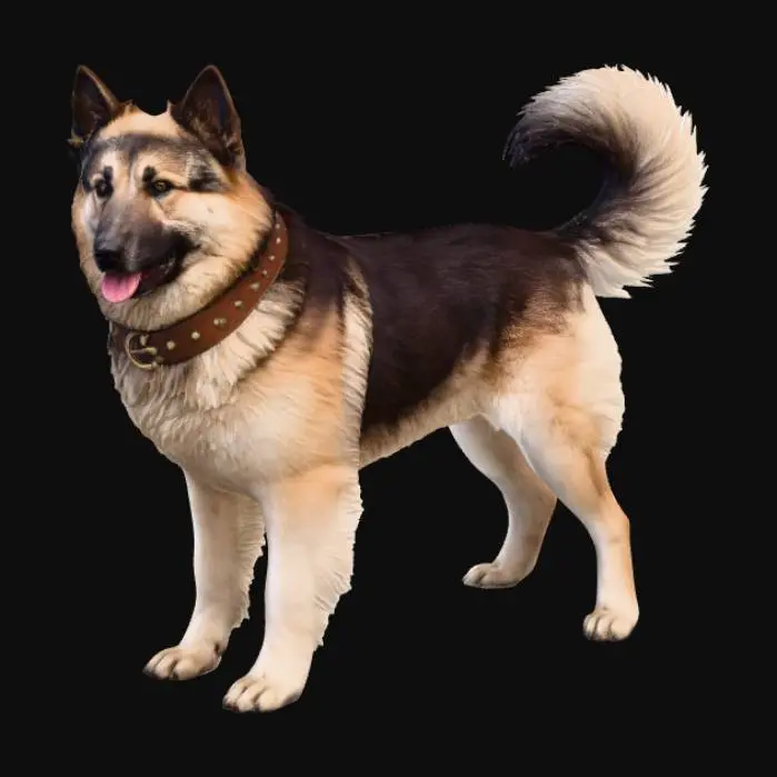 3D model for Hofhund