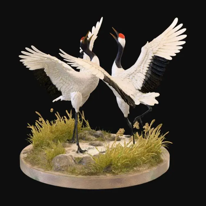 3D model for Kranich